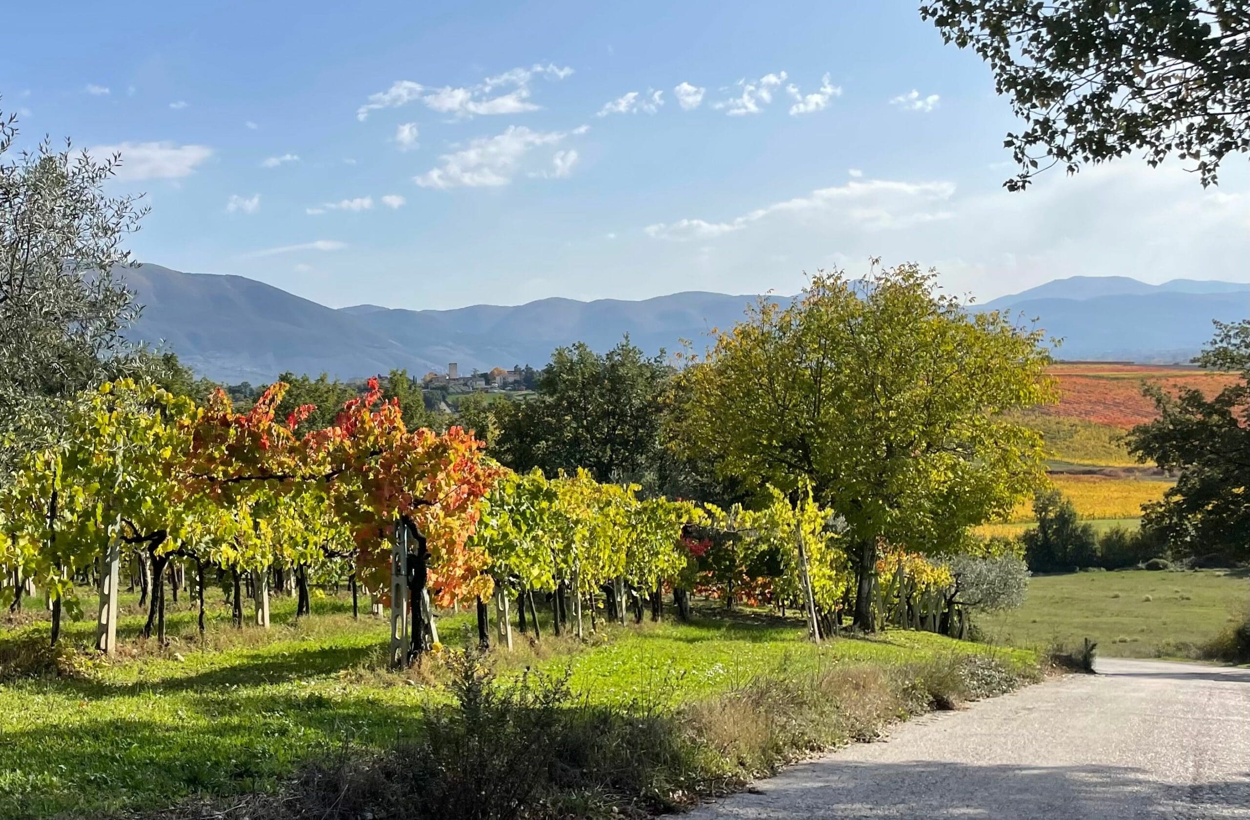 travel abroad italy, sommelier certification, wine sommelier, italy art